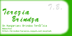 terezia brindza business card